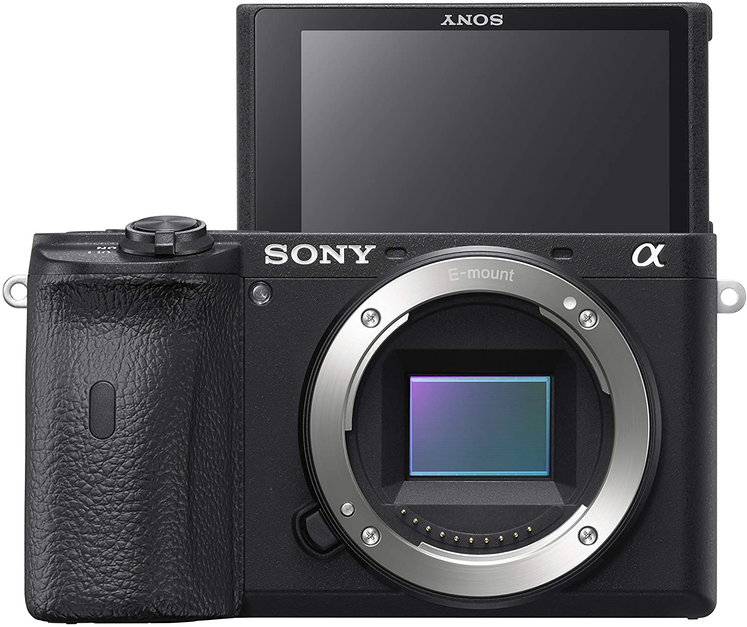 Sony a6600